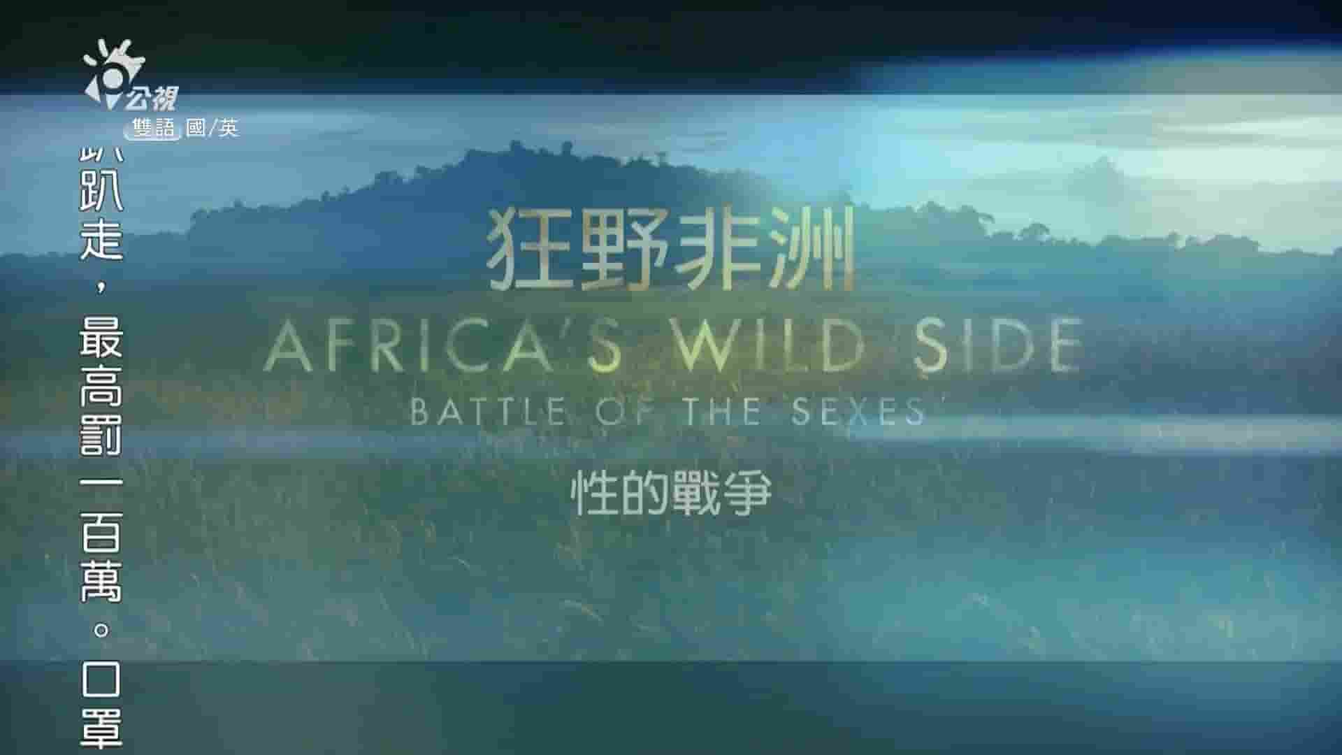 PTS公视《狂野非洲 Africa‘s Wild Side 2018》全3集 国语中字 1080P高清网盘下载