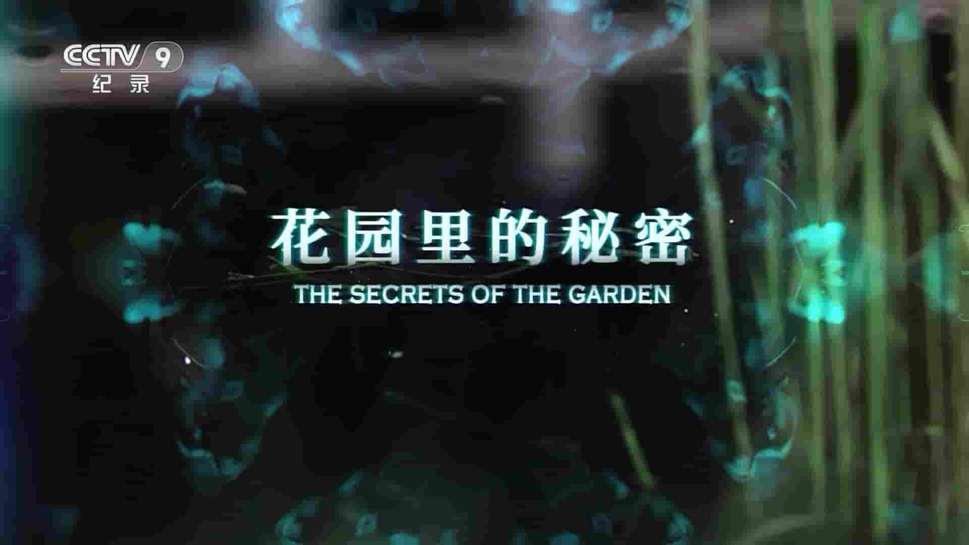 丹麦纪录片《花园里的秘密 The Secrets Of The Garden 2019》全6集 国语中字 1080P高清网盘