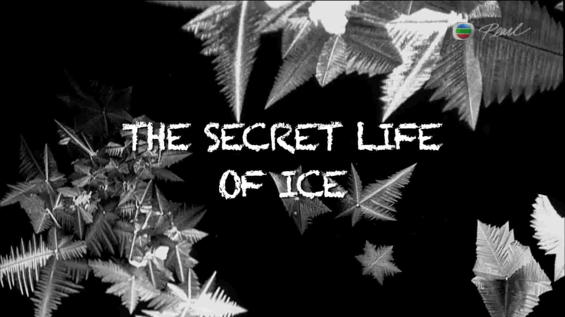 BBC纪录片《冰之谜 The Secret Life Of Ice 2013》全1集 中英双语中字 720P高清网盘