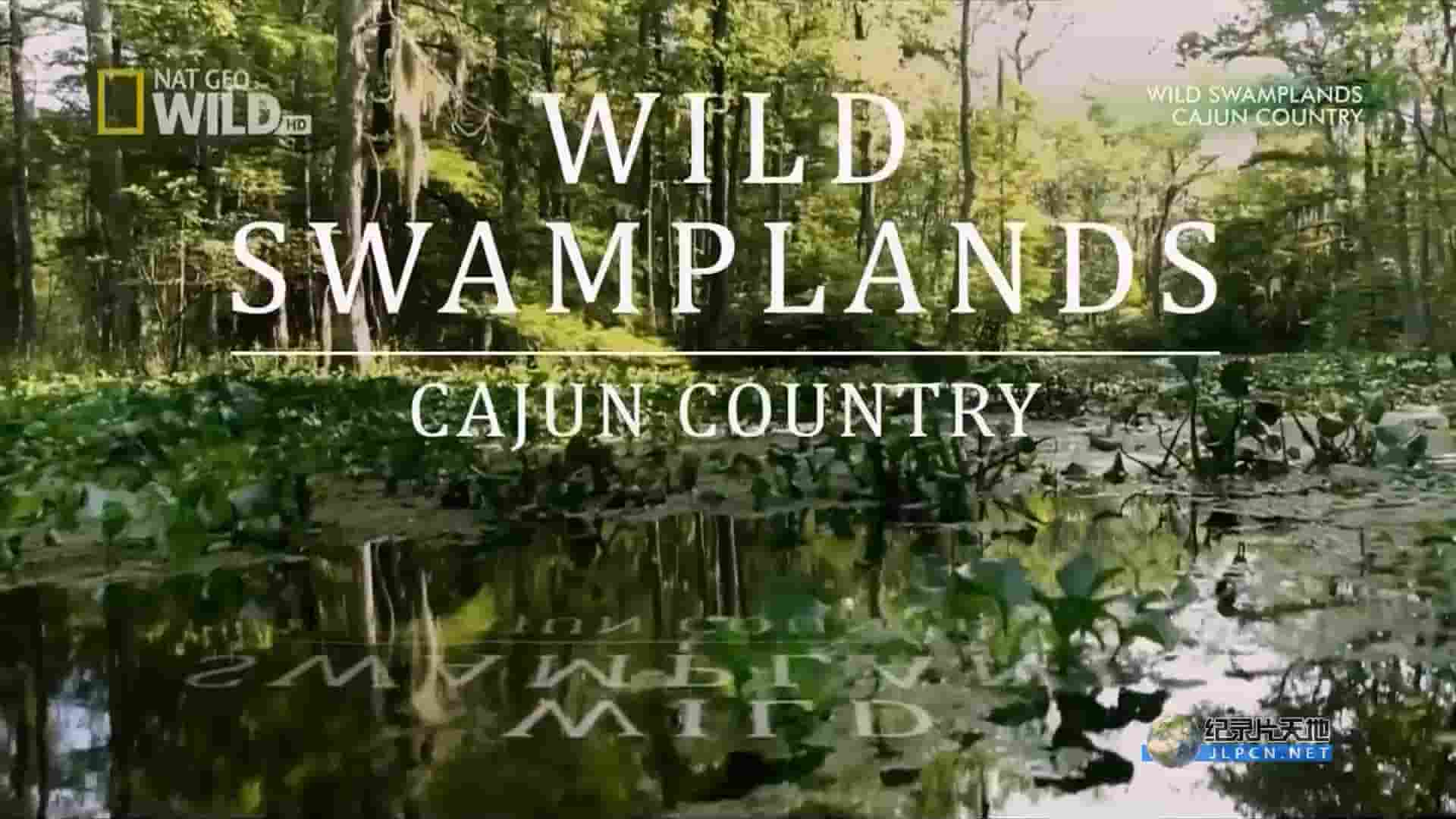 国家地理《沼泽生态志/狂野沼泽 Wild Swamplands》全2集 国语中字 1080i高清纪录片