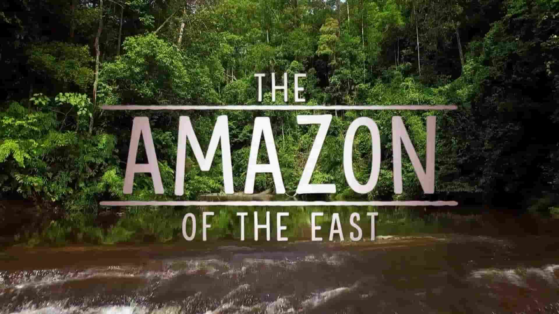 ZDF纪录片《东方亚马逊 The Amazon of the East 2017》全2集 英语中英双字 1080P高清网盘