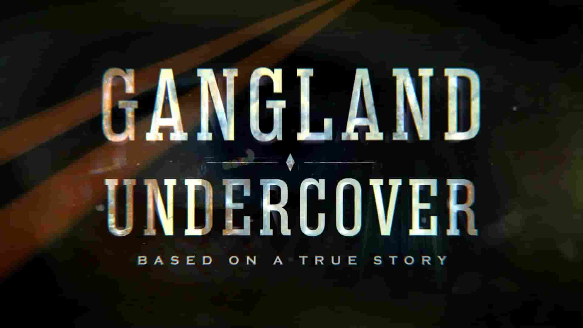 历史频道《黑帮卧底 Gangland Undercover 2016》第1-2季全15集 英语中英双字 1080P高清网盘下载