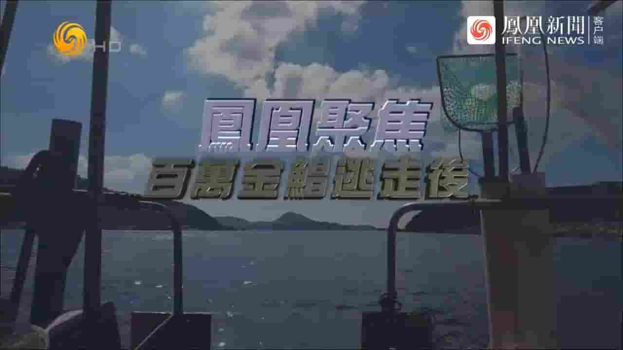 凤凰聚焦《百万金鲳逃走后 2022》全1集 国语中字 720P高清网盘下载