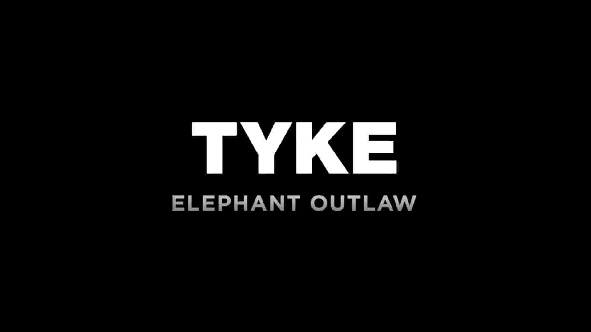 美国纪录片《迷途小象泰克 Tyke Elephant Outlaw 2015》全1集 英语中英双字  1080P高清网盘下载