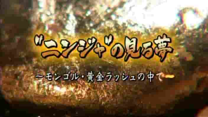 NHK纪录片《忍者之梦～蒙古淘金潮 2008》全1集 日语中字 标清网盘下载