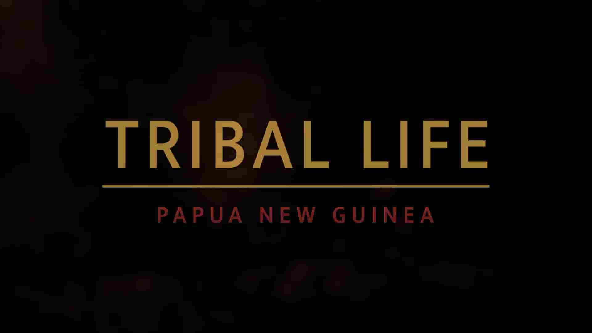 澳大利亚纪录片《部落生活：巴布亚新几内亚 Tribal Life: Papua New Guinea 2020》全4集 英语中英双字 1080P高清网盘下载