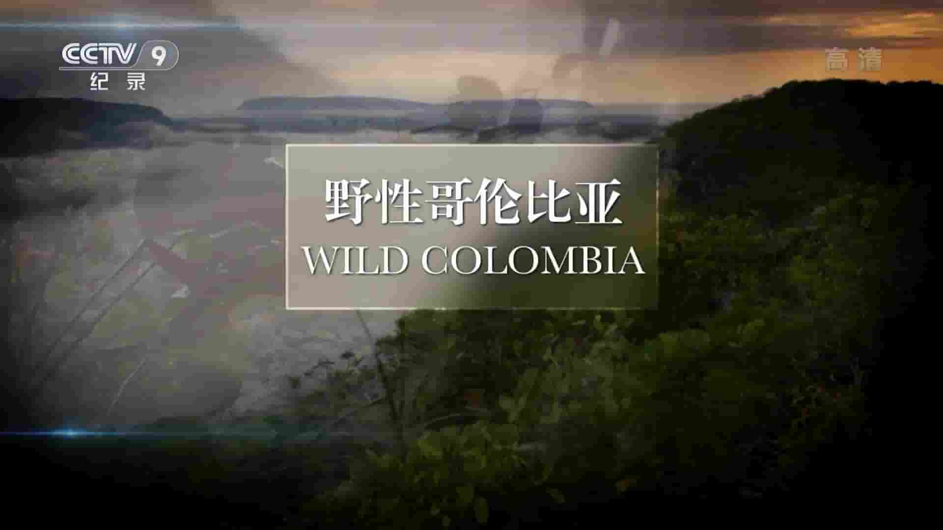 国家地理《野性哥伦比亚 Wild Colombia 2016》全3集 国语中字 1080P高清网盘