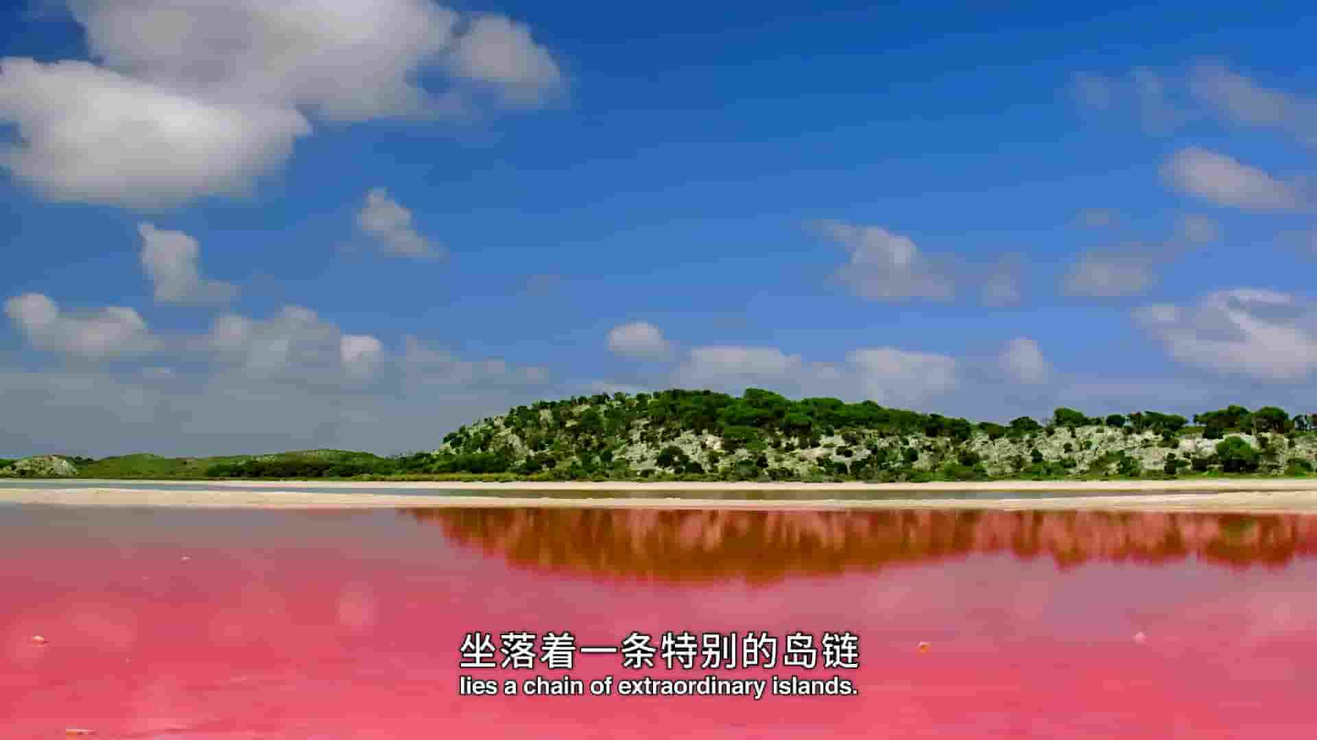 国家地理《超萌袋鼠乐园/洛特尼斯岛：短尾矮袋鼠的王国 Rottnest Island:Kingdom Of The Quokka 2018 》全2集 英语中字 1080P高清网盘