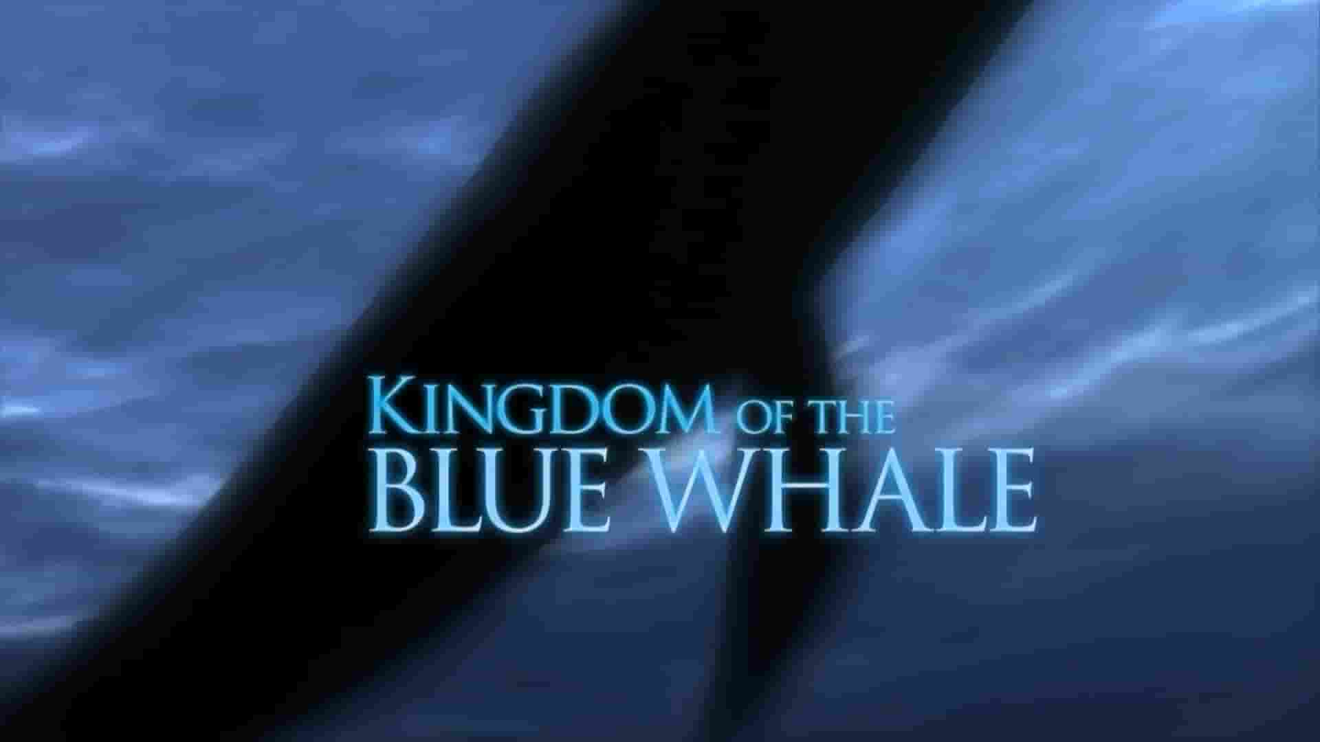 国家地理《蓝鲸王国 Kingdom Of The Blue Whale 2009》全1集 英语中字 1080P高清网盘