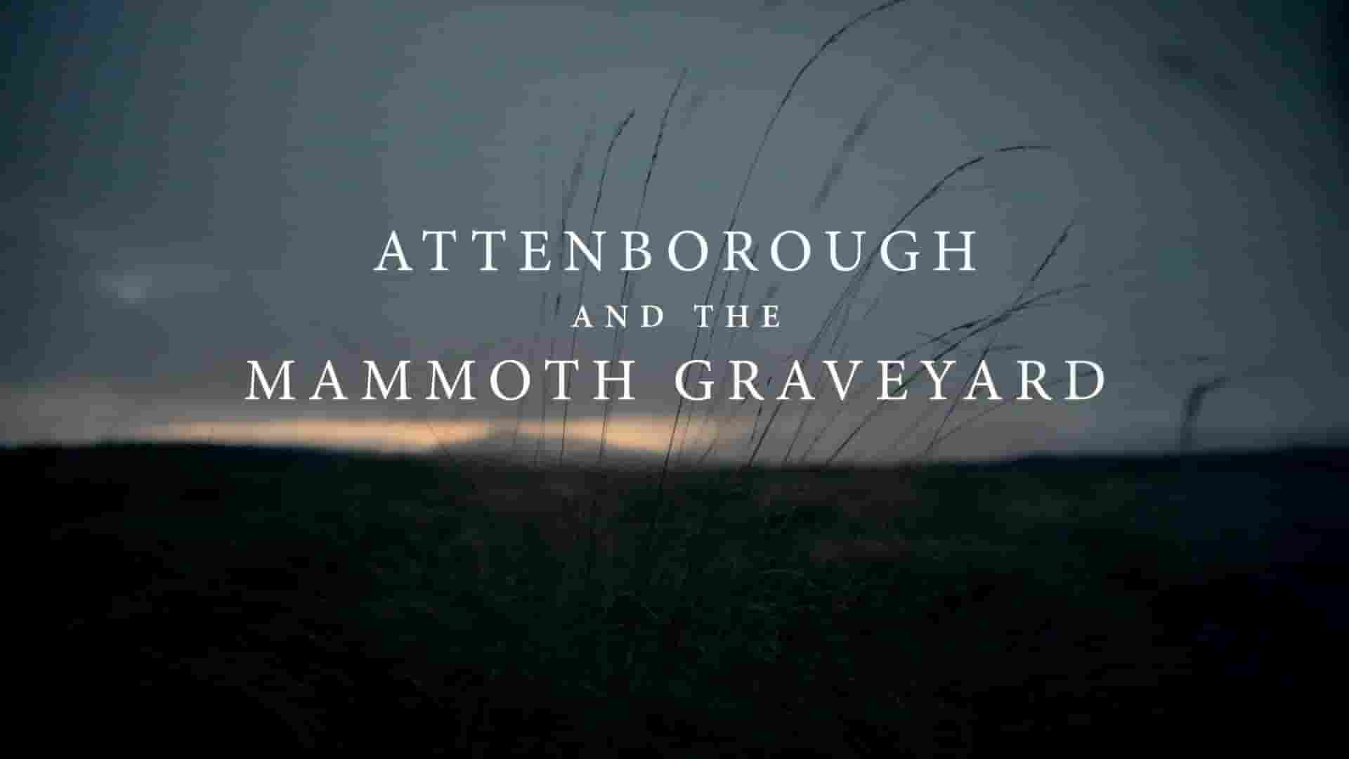 BBC纪录片《爱登堡与猛犸墓地 Attenborough and the Mammoth Graveyard 2021》全1集 英语英字 1080P高清网盘