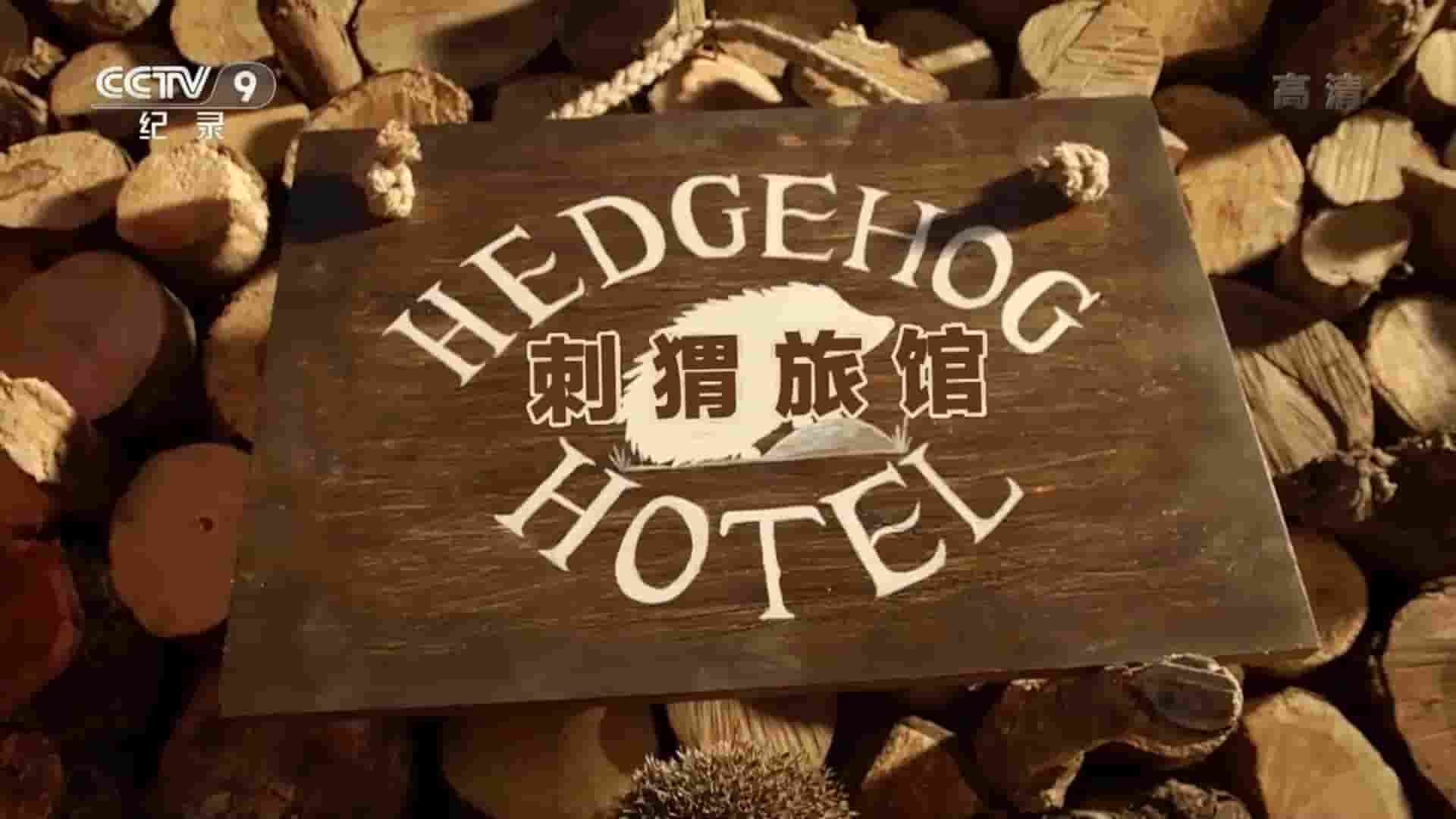 央视改版/BBC纪录片《刺猬旅馆 Hedgehog Hotel 2015》全1集 国语中字 1080P高清网盘