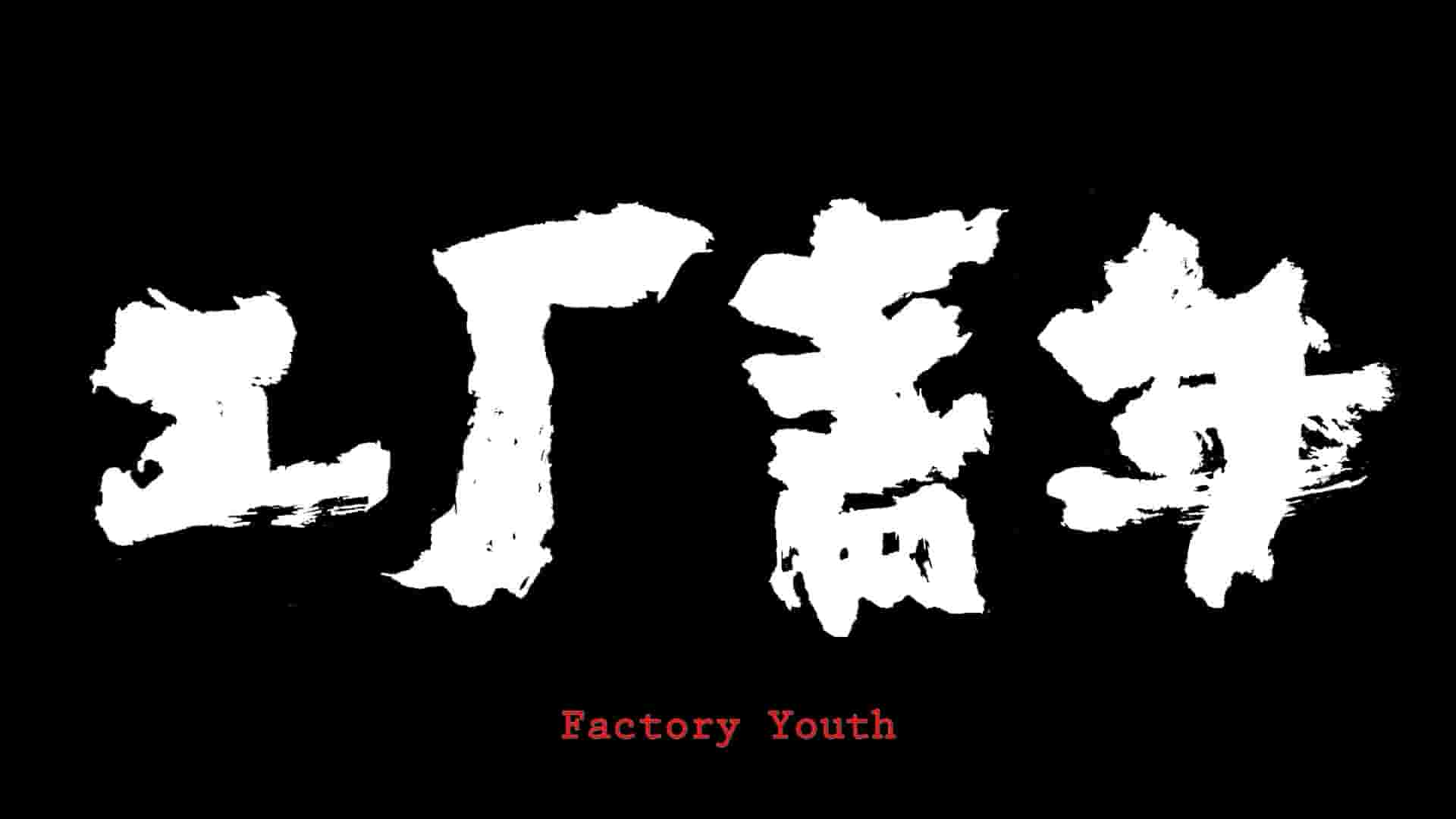 国产纪录片《工厂青年 Factory Youth 2016》全1集 国语中字 1080P高清网盘