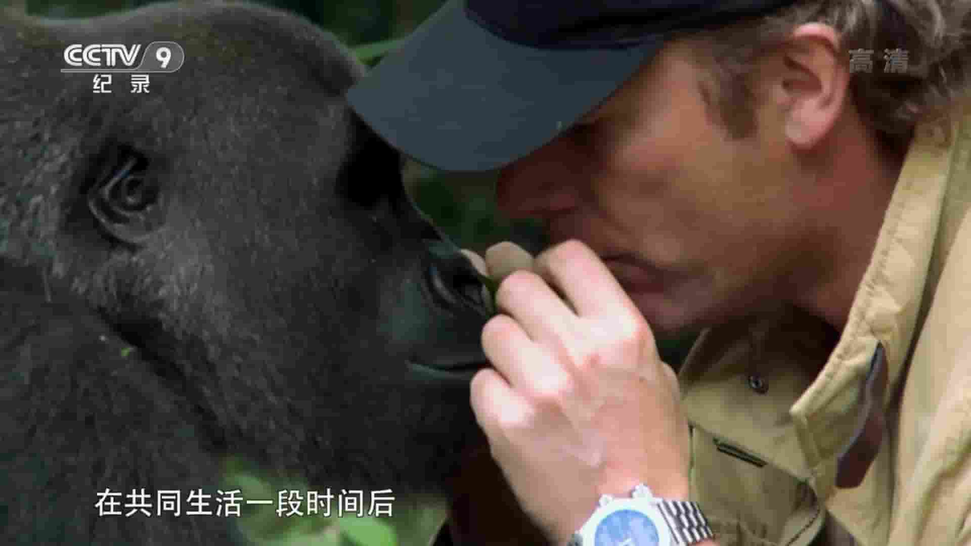 PBS纪录片《与动物重逢 Animal Reunions 2016》全3集 国语中字 1080P高清网盘