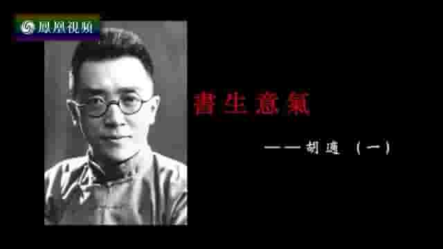 纪录大时代《书生意气——胡适 2016》全5集 国语中字 标清网盘