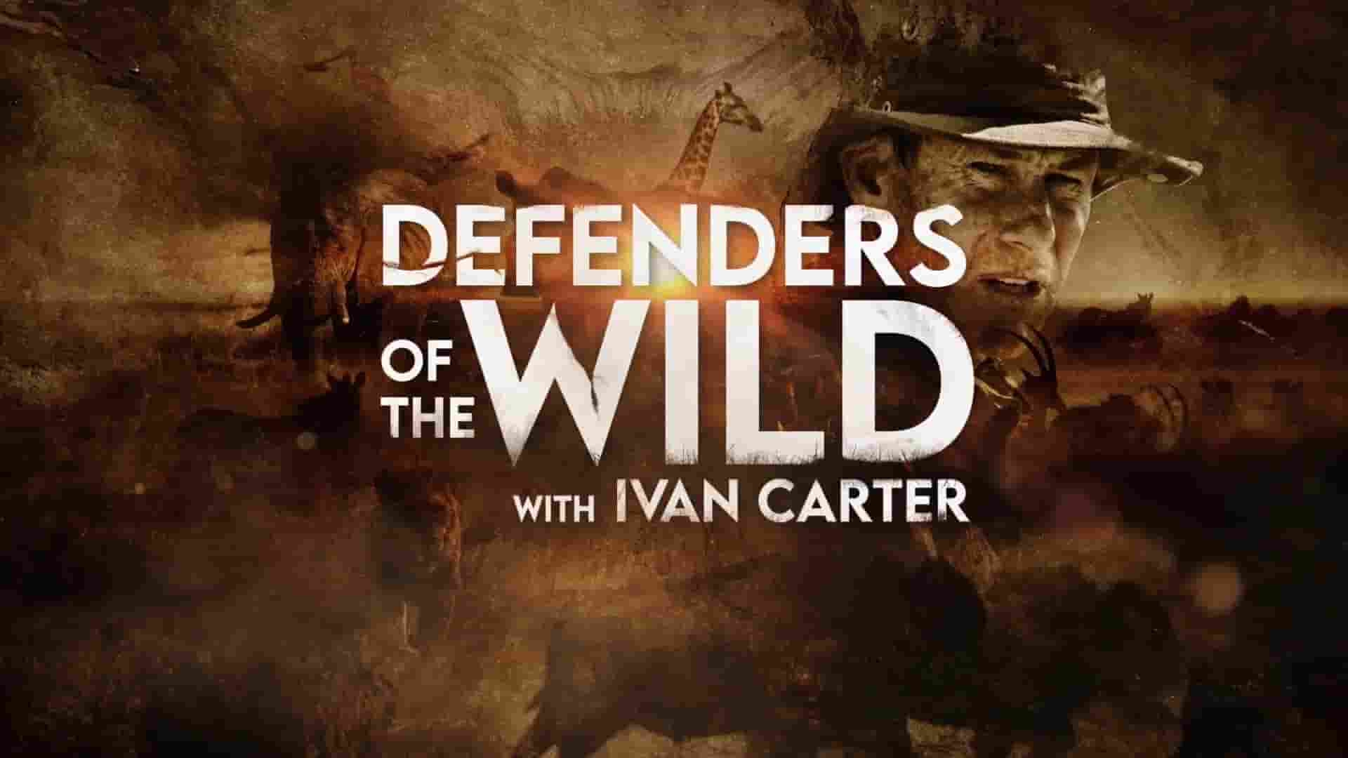 美国纪录片《荒野捍卫者 Defenders of the Wild 2021》全13集 英语中英双字 1080P高清网盘