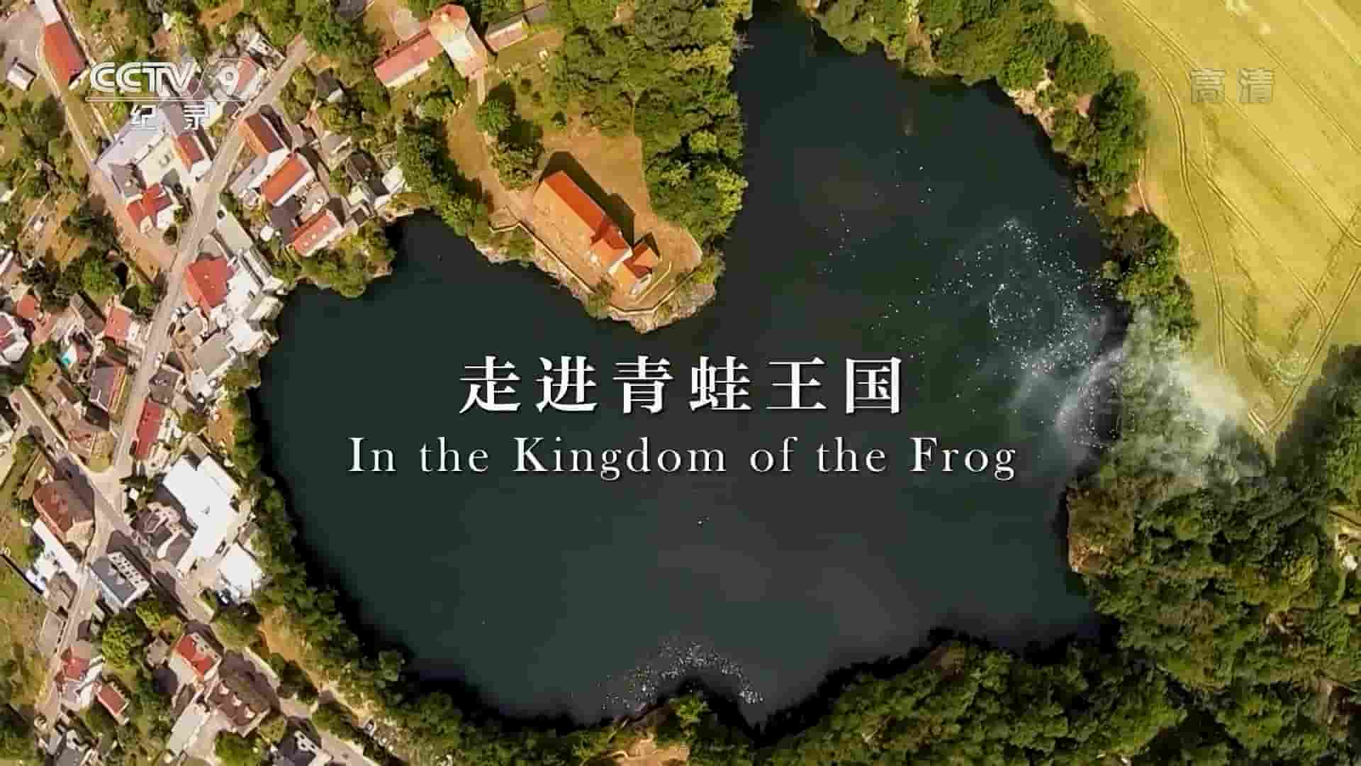 德国纪录片《走进青蛙王国 In the Kingdom of the Frog 2018》全1集 国语中字 1080i高清网盘