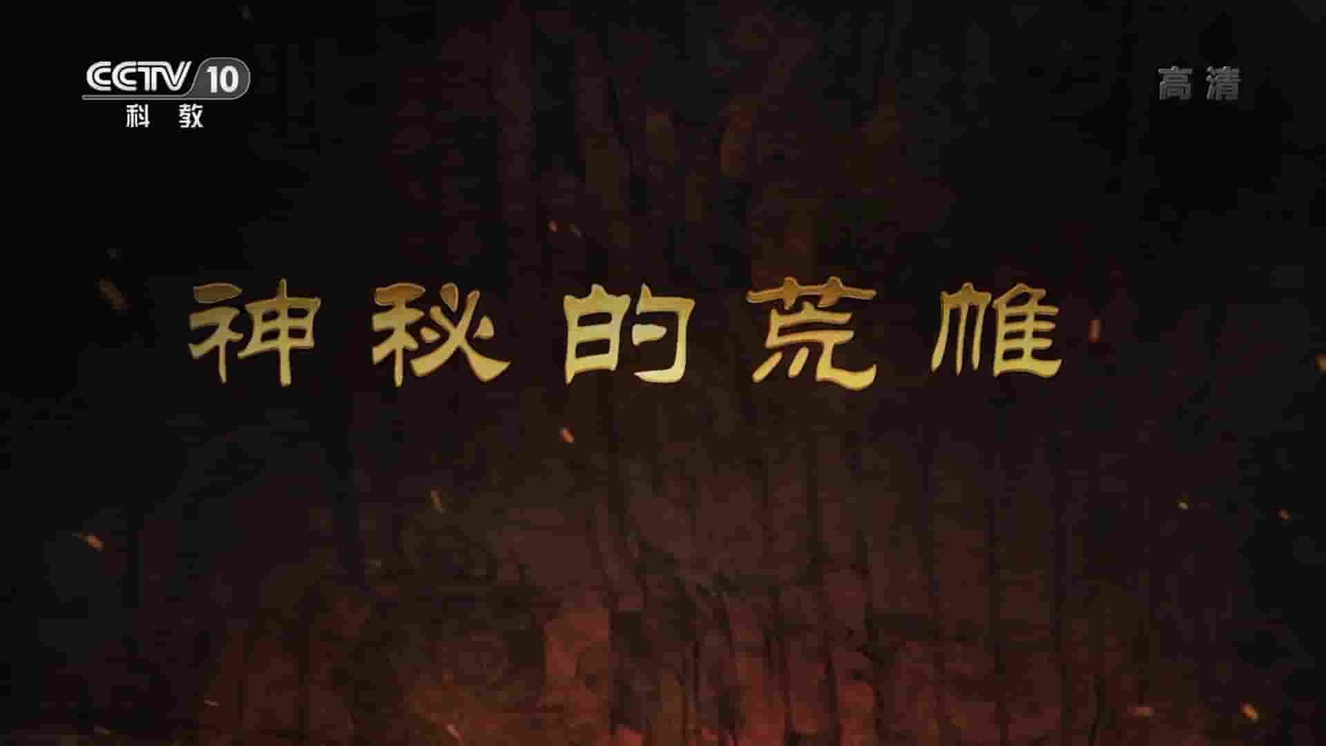 央视考古纪录片《神秘的荒帷 2020》全1集 国语中字 1080P高清网盘