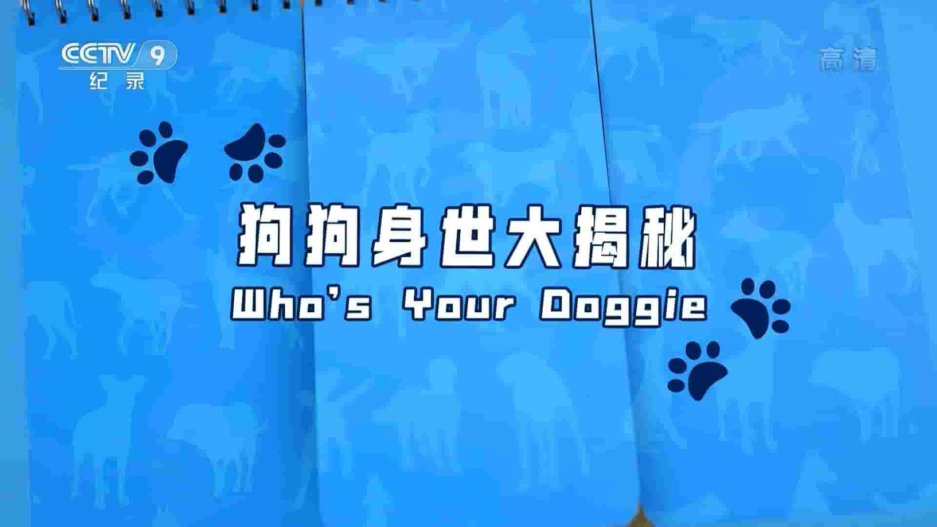 央视纪录片《狗狗身世大揭秘 Who’s Your Doggie？2016》全1集 国语中字 1080i高清网盘