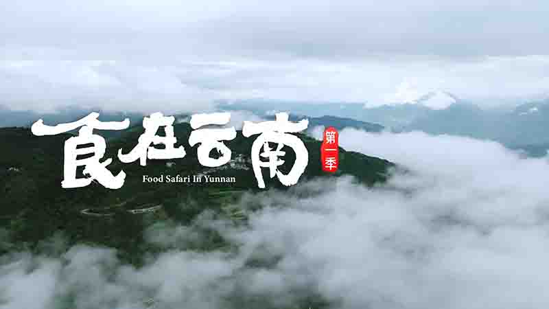 国产纪录片《食在云南 Food Safari in Yunnan 2023》第1季全6集 国语中字 4K超高清网盘