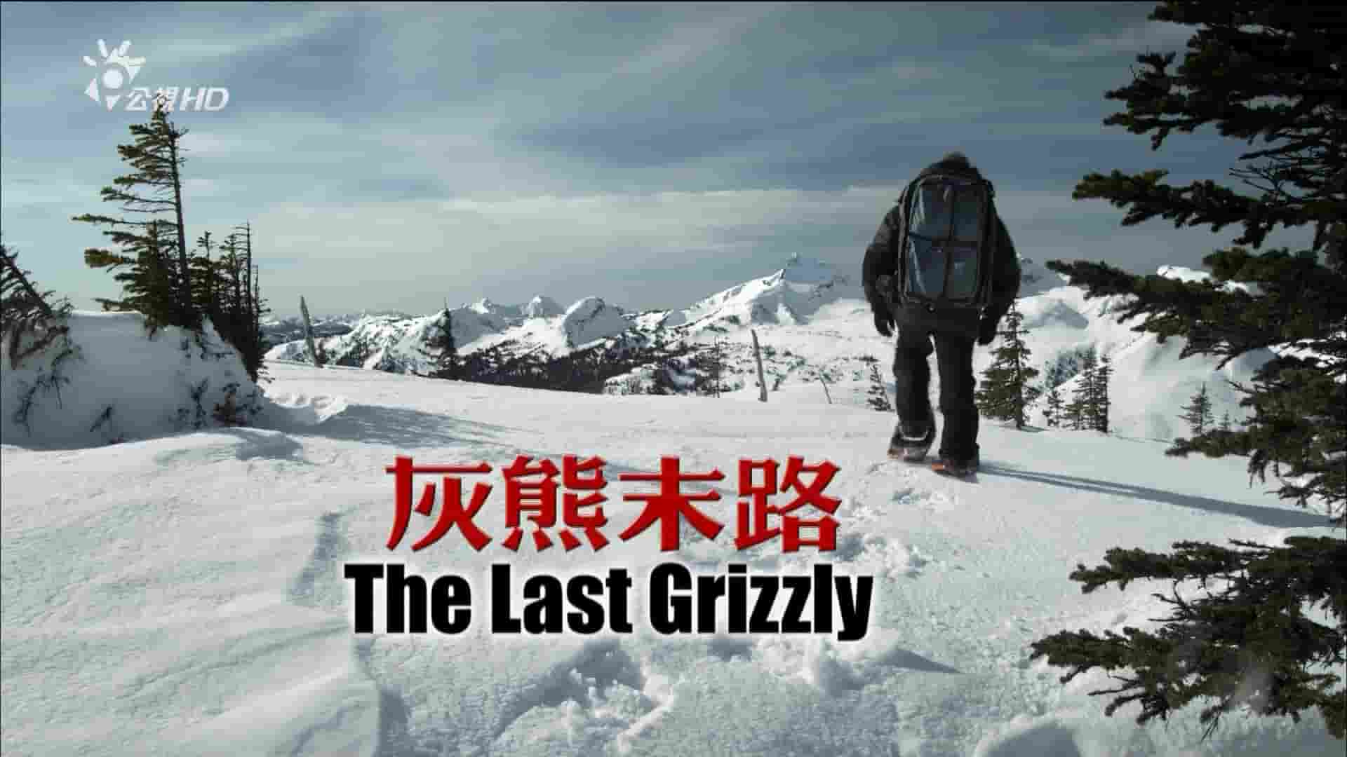 BBC纪录片《灰熊末路 The Last Grizzly 2016》全1集 国语中字  1080i高清网盘