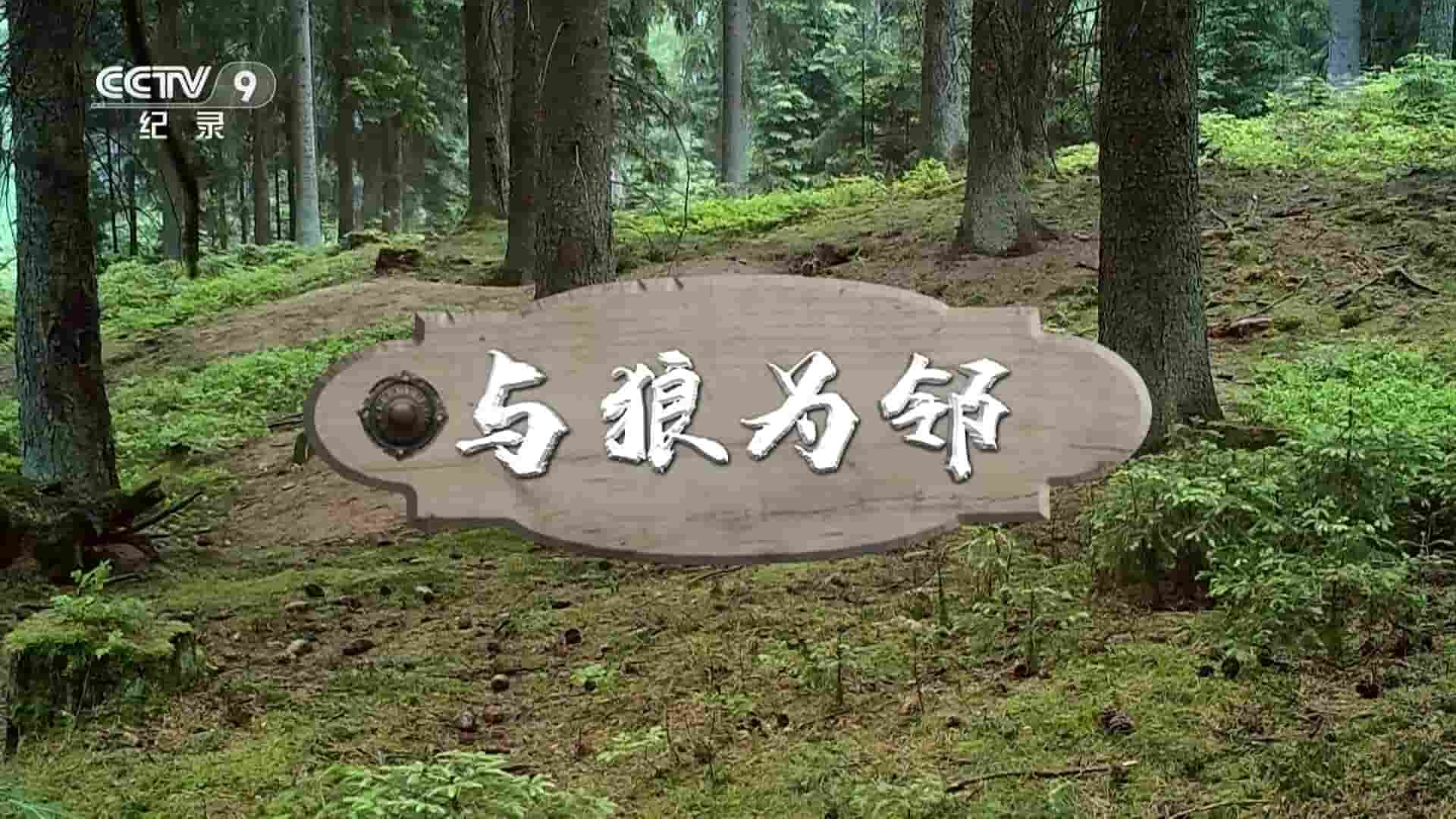 德国纪录片《与狼为邻 Familie Wolf – Gefährliche Nachbarn 2018》全1集 国语中字 1080P高清网盘