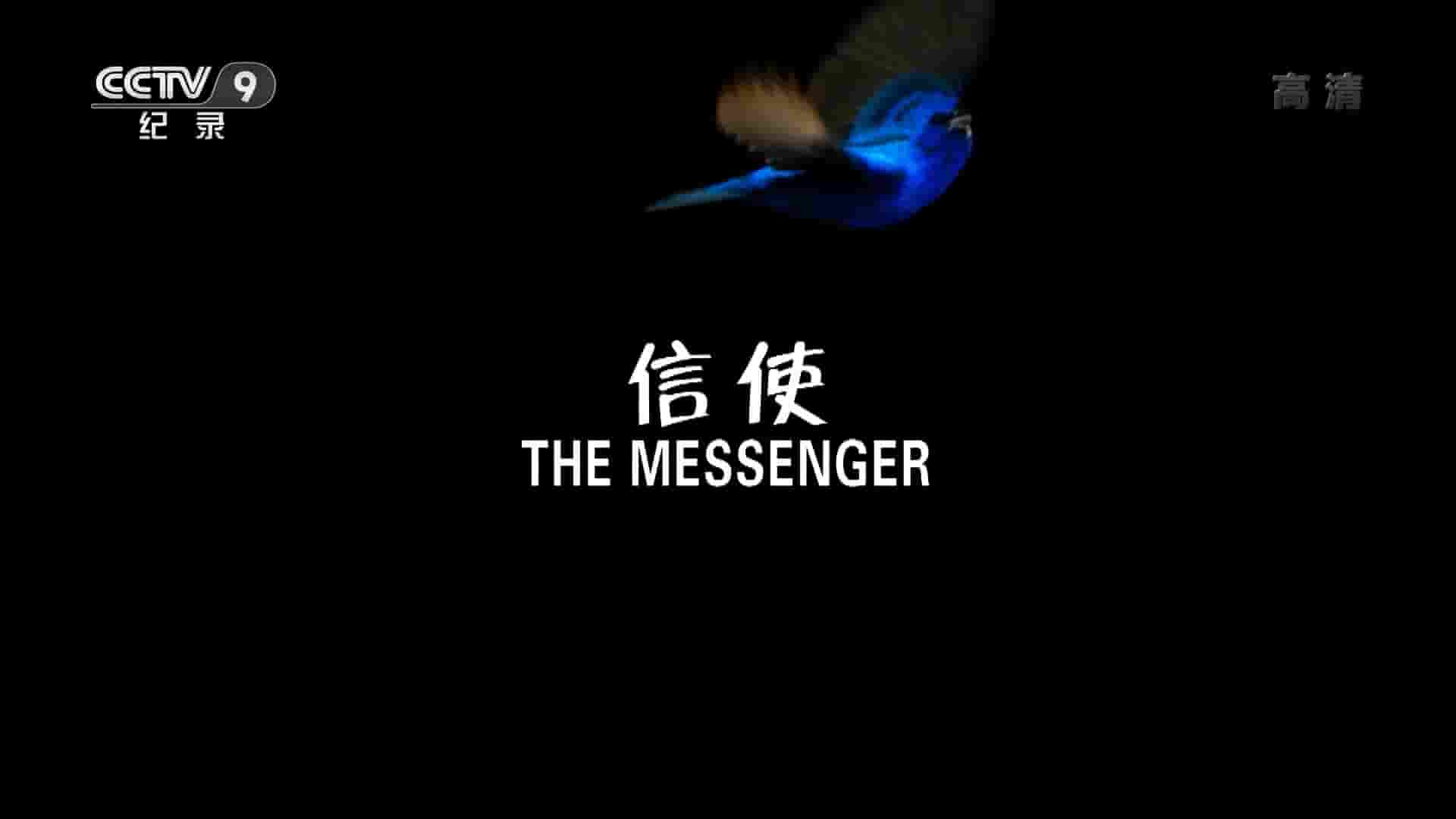 央视纪录片《信使 The Messenger 2015》全1集 国语中字 1080P高清网盘