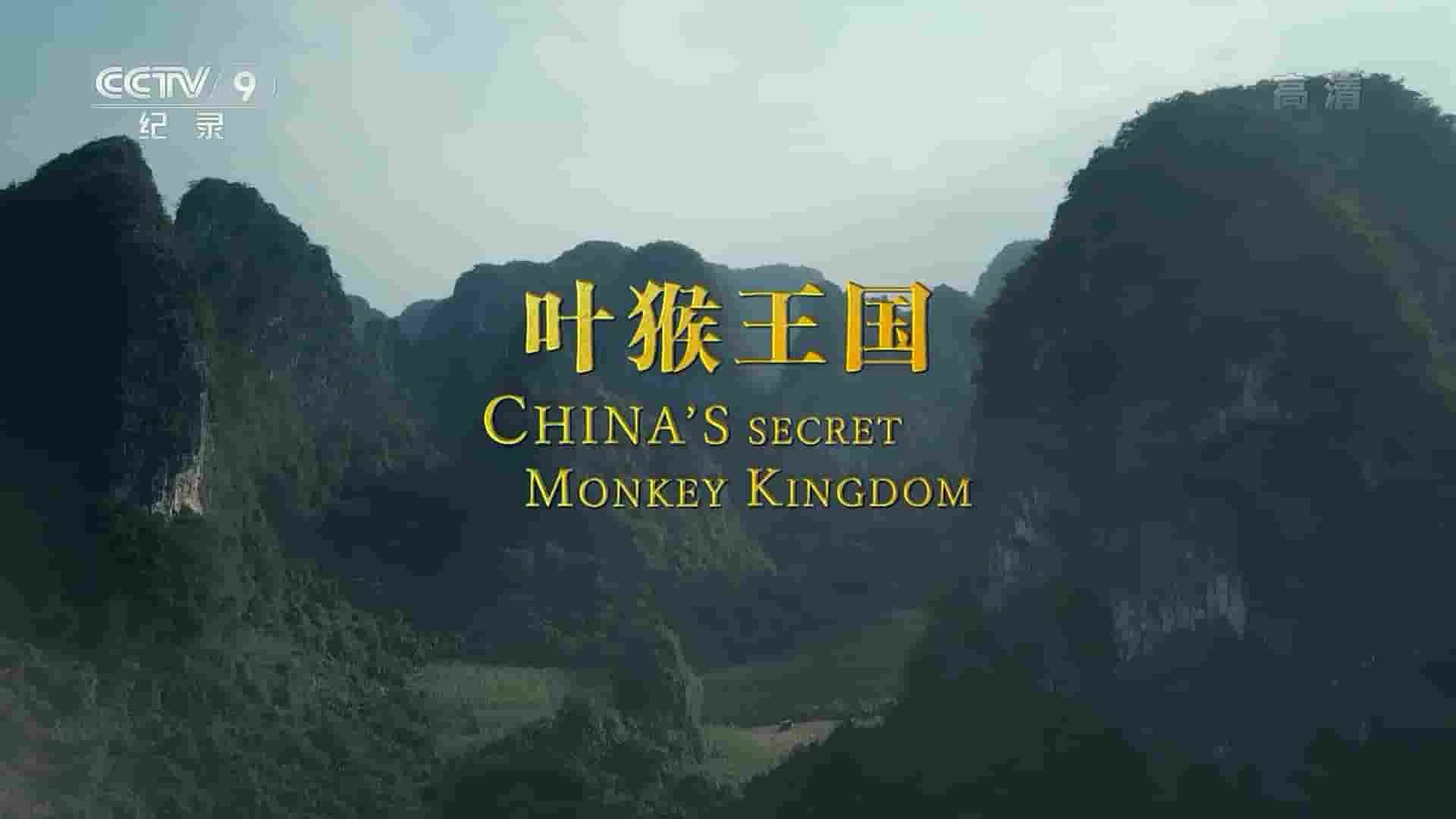 央视纪录片《叶猴王国 China’s Secret Monkey Kingdom 2018》全1集 国语中字 1080i高清网盘