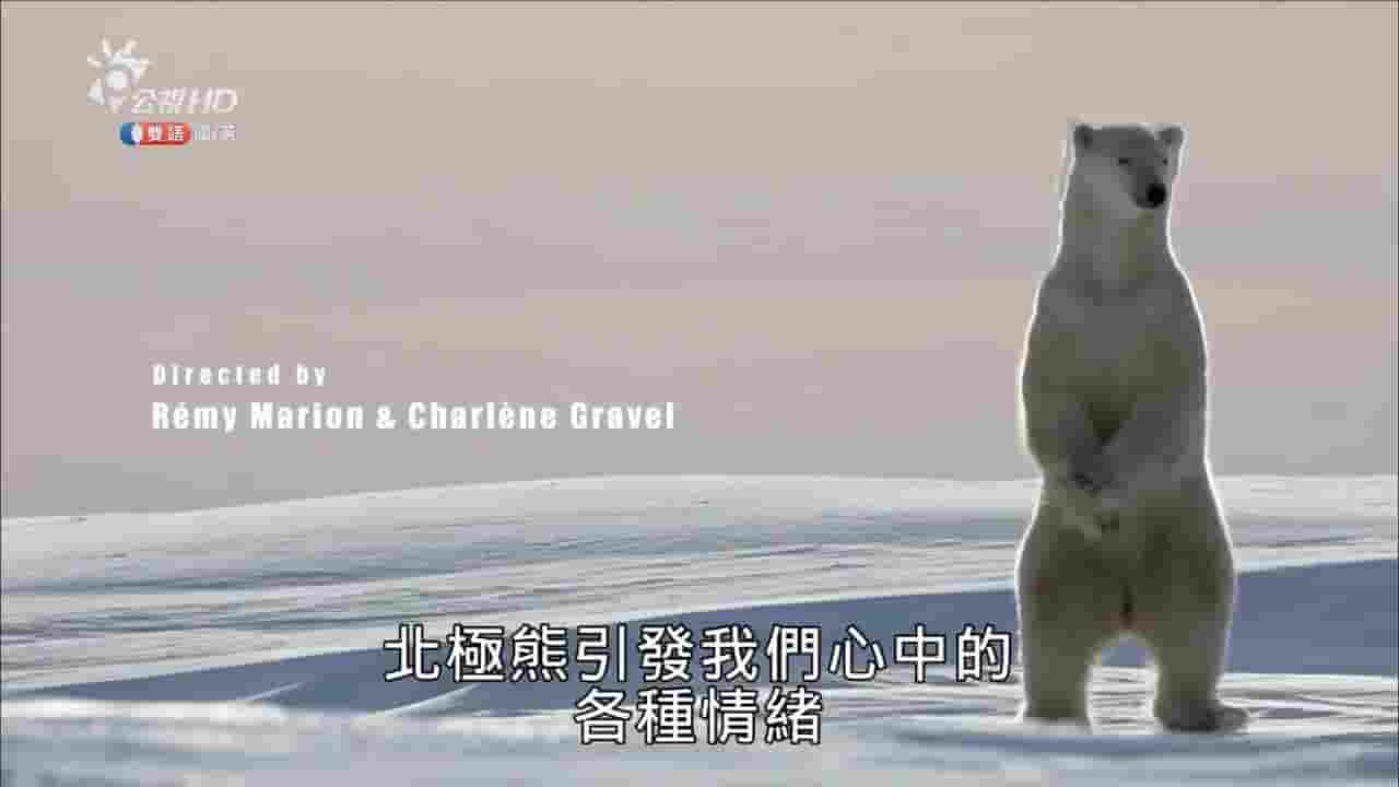 法国纪录片《北极熊的生存之道 Evolution of the Polar Bear 2015》全1集 中英双语内嵌中字 720P高清网盘