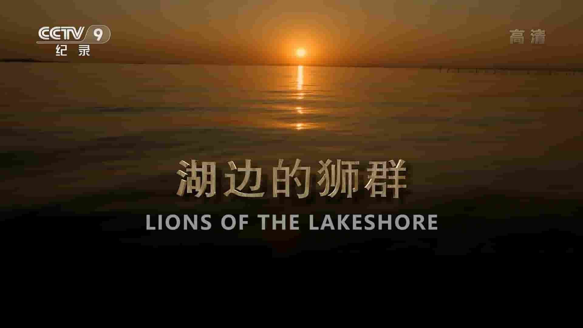 央视改版/BBC纪录片《湖边的狮群 Lions of the Lakeshore 2019》全1集 国语中字 1080i高清网盘