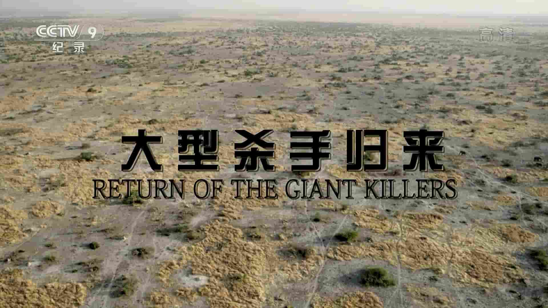 BBC纪录片《大型杀手归来 Return of the Giant Killers – Africa’s Lion Kings 2015》全1集 国语中字 1080i高清网盘