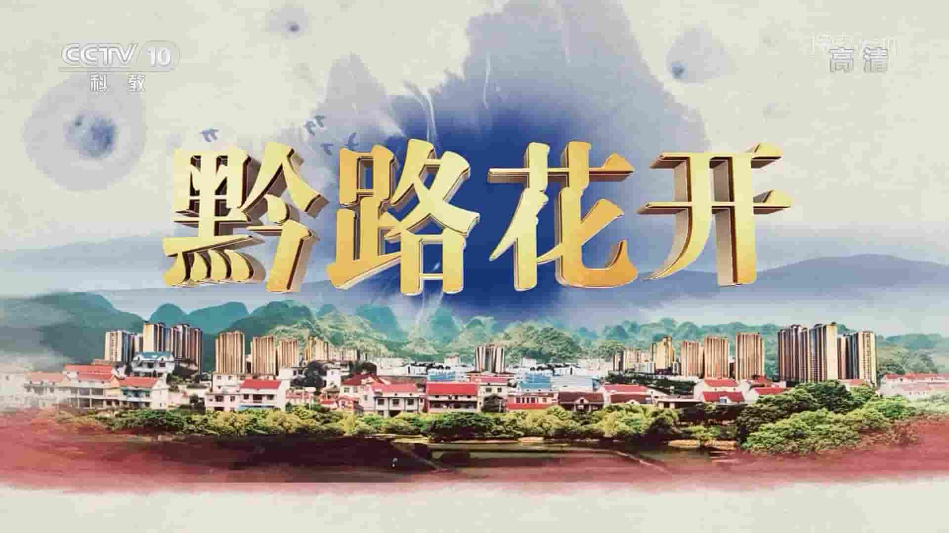 央视纪录片《黔路花开 2020》全2集 国语中字 1080P高清网盘