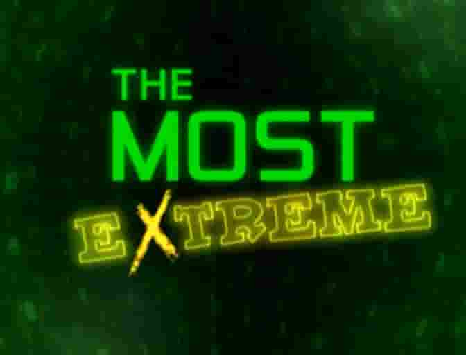 新西兰NHNZ《动物趣闻之最 The Most Extreme》全66集 英语中字 标清网盘