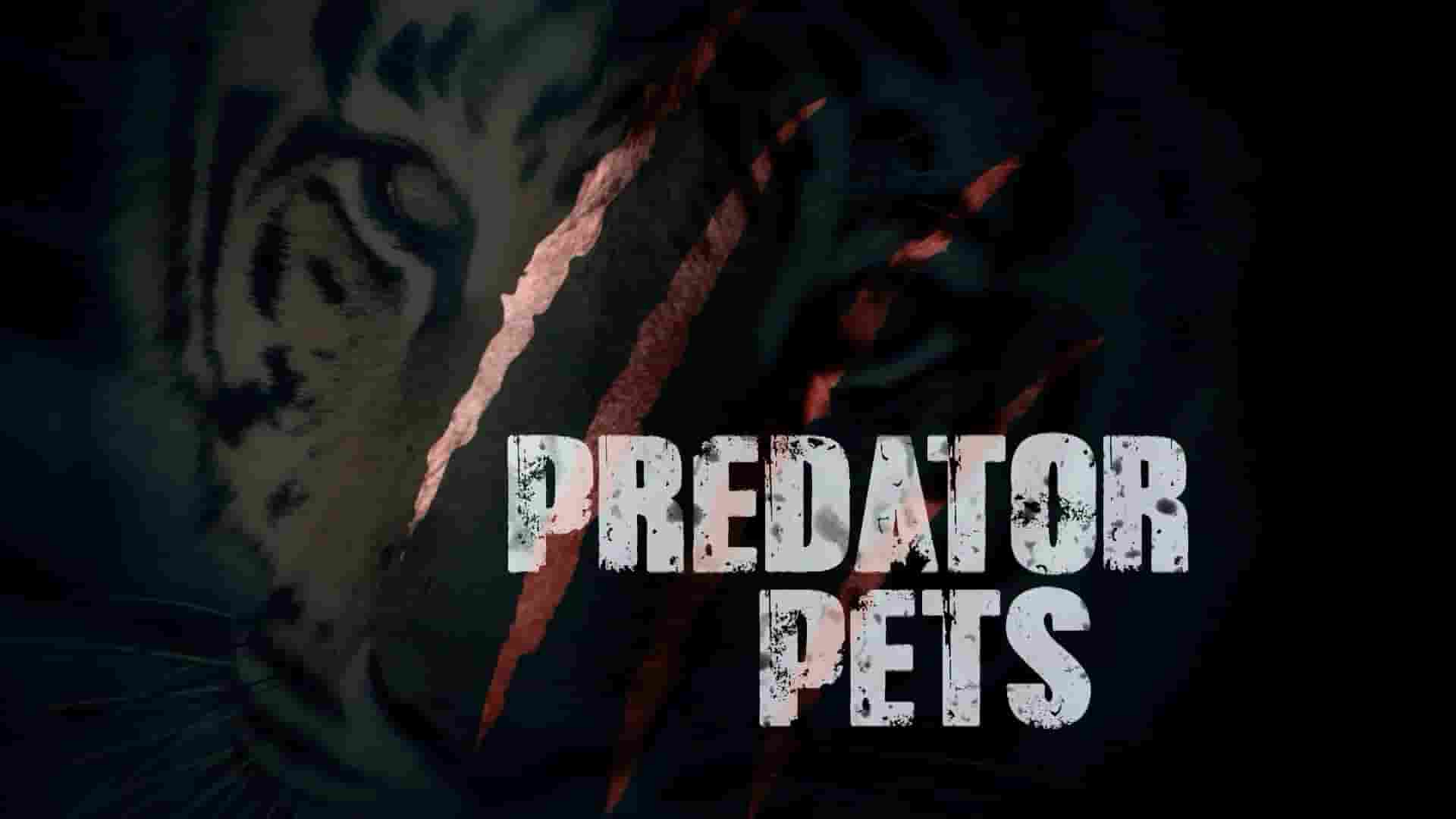 澳大利亚纪录片《家有猛宠 Predator Pets 2019》第1季全13集 英语中英双字 1080P高清网盘