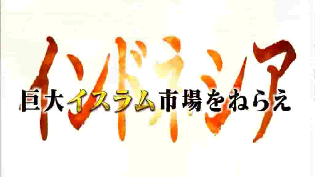 NHK纪录片《灼热的亚洲 NHKスペシャル灼热アジア 2010》全4集 日语外挂中字 标清网盘