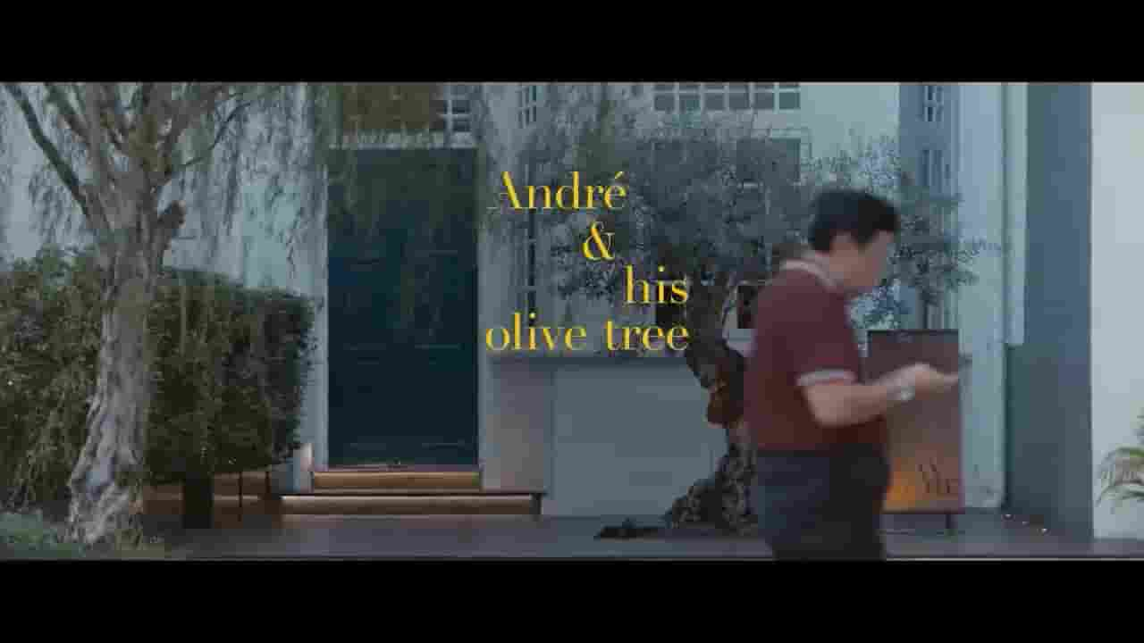 新加坡纪录片《初学者 Andre and His Olive Tree 2020》全1集 国语中字 720P高清网盘