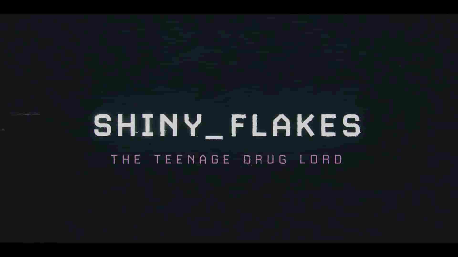 德国纪录片《暗网青年毒枭 Shiny Flakes: The Teenage Drug Lord 2021》全1集 英语中英双字 1080P高清网盘