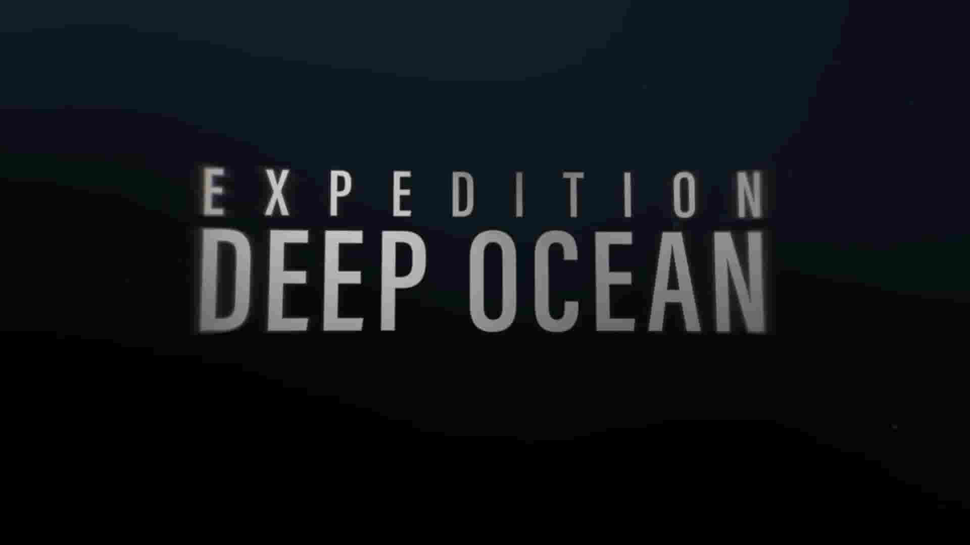 探索频道《远征深海 Expedition Deep Ocean 2021》全5集 英语中英双字 1080P高清网盘