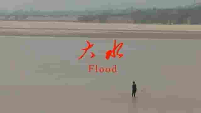 国产纪录片《大水 Flood 2008》全1集 国语内嵌中英字幕 标清网盘