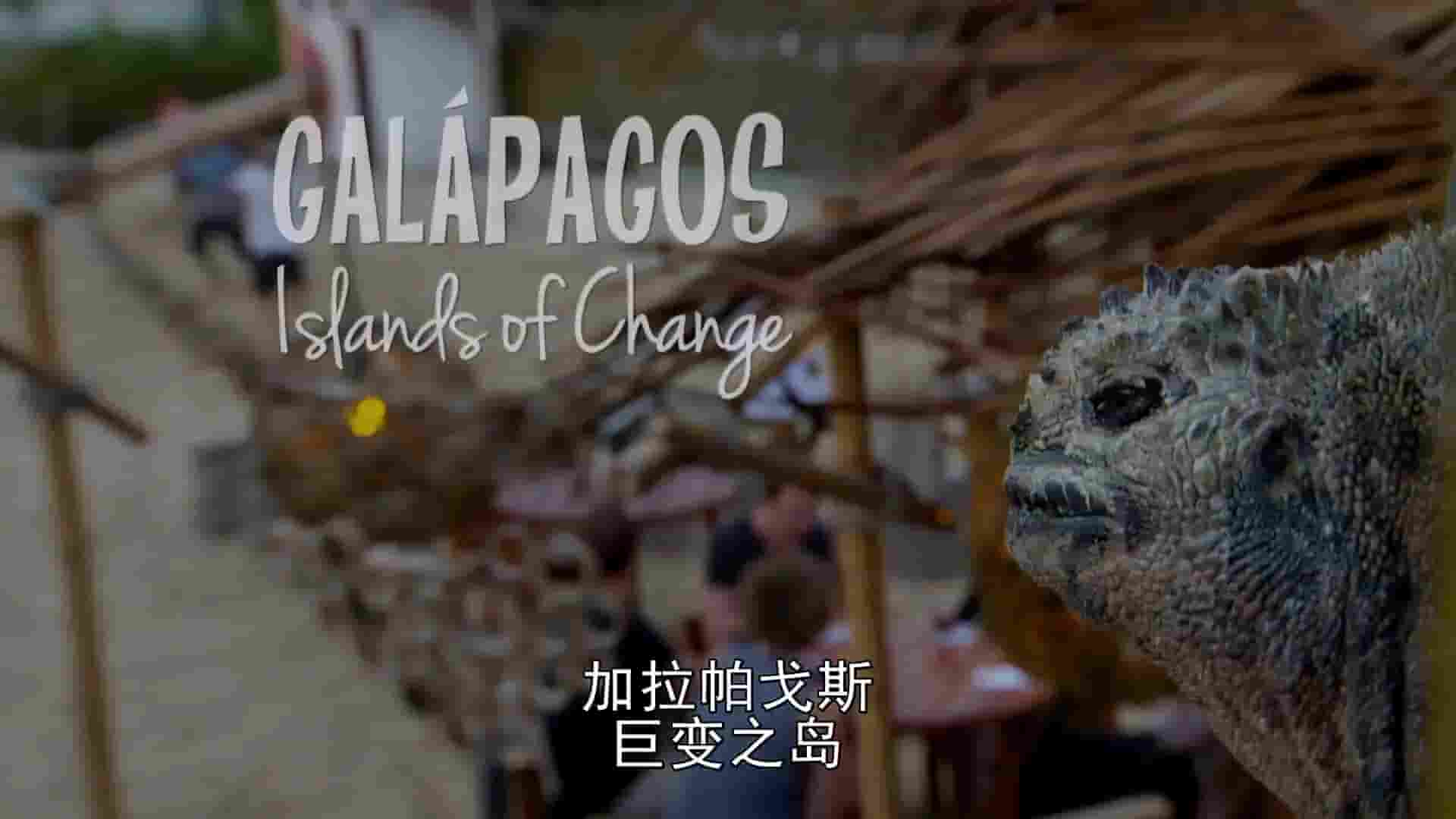 BBC纪录片/自然世界《加拉帕戈斯群岛的变化 Galapagos – Islands Of Change 2015》全1集 英语中字 720P高清网盘