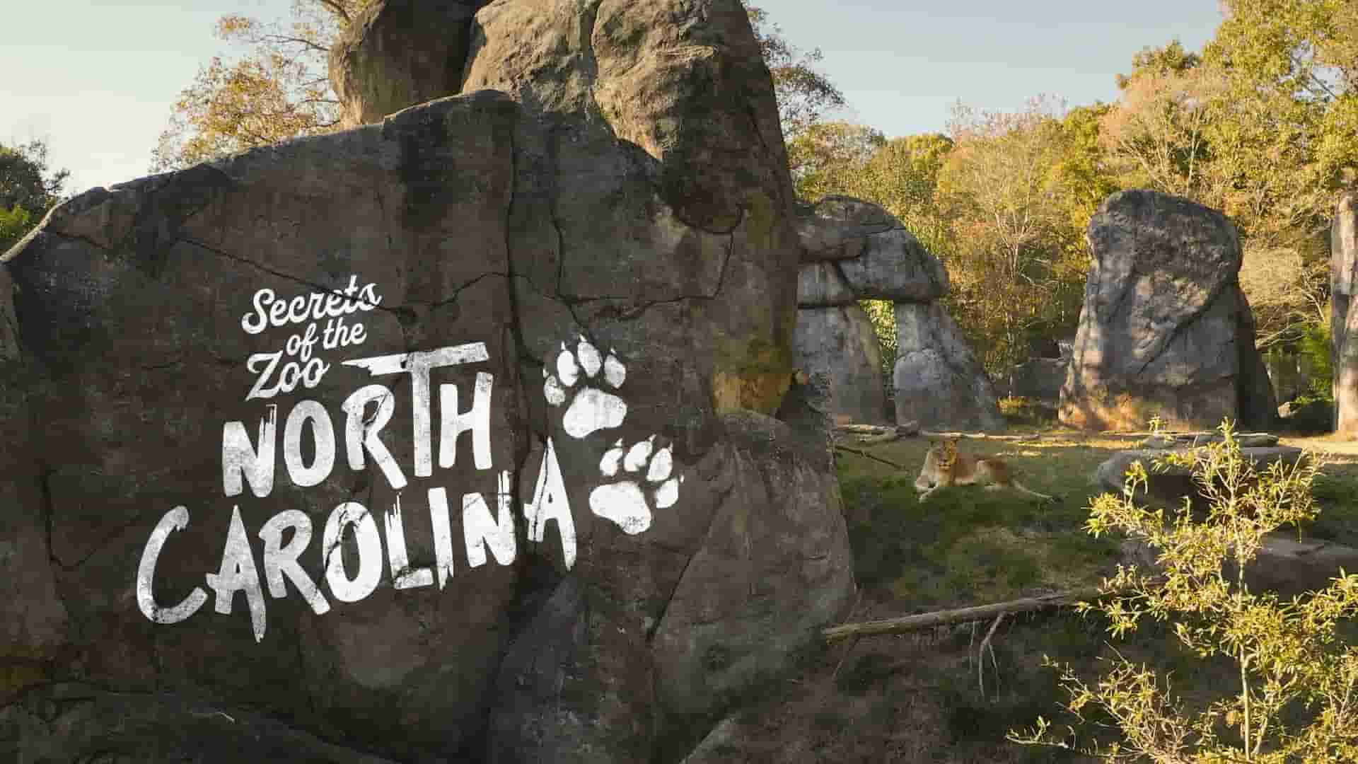 美国纪录片《动物园秘辛：北卡罗来纳 Secrets of the Zoo: North Carolina 2020》全8集 英语中字 1080P高清网盘