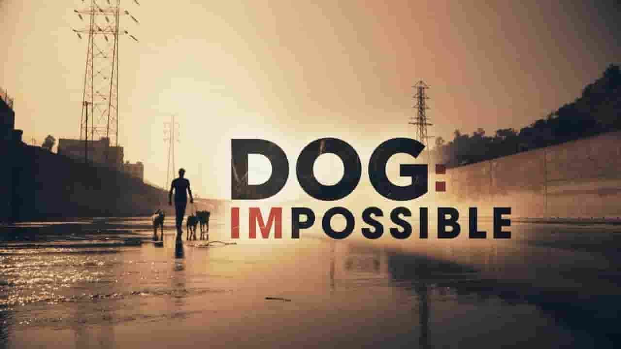 国家地理《狗：不可能 Dog: Impossible 2021》第1-2季全14集 多国语言多国字幕 720P高清网盘