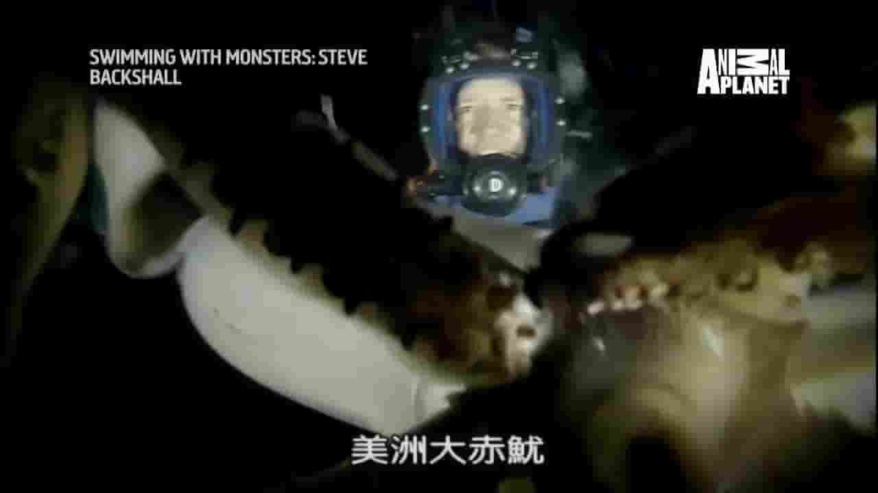 美国纪录片《水霸王/与怪物一起游泳:史蒂夫·贝克肖 Swimming With Monster: Steve Backshall 2019》全4集 英语中字 720P高清网盘