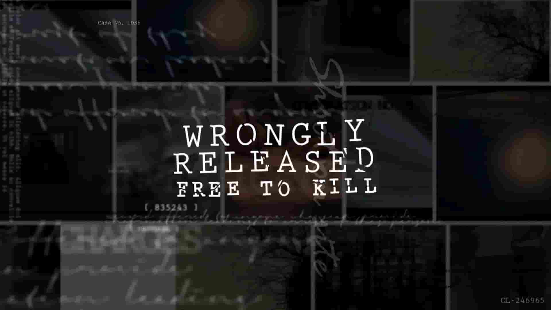 英国纪录片《震惊英国的罪行 Wrongly Released 2017》全2集 英语中英双字 1080P高清网盘