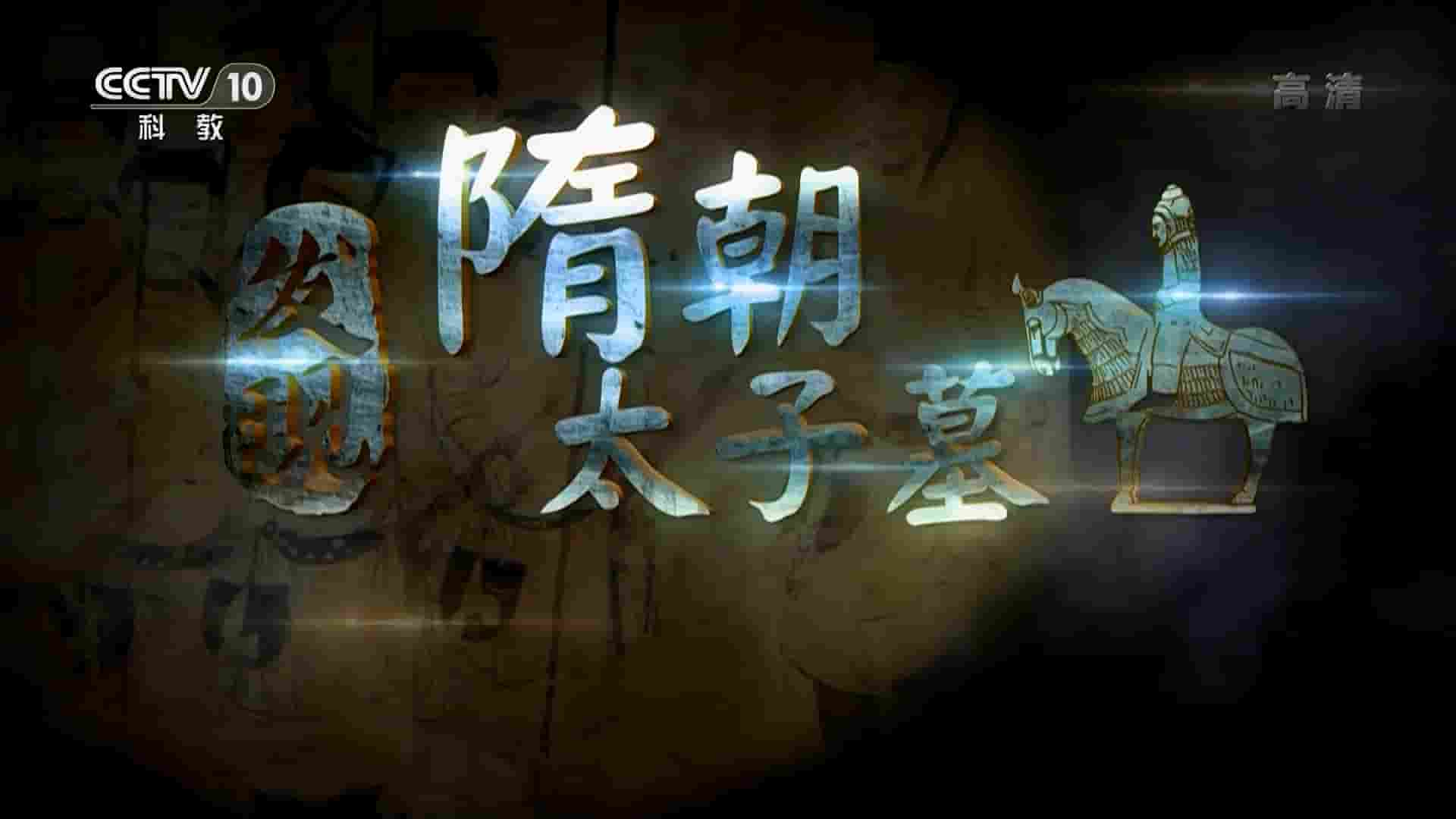 央视考古纪录片《发现隋朝太子墓 2020》全2集 国语中字 1080P高清网盘