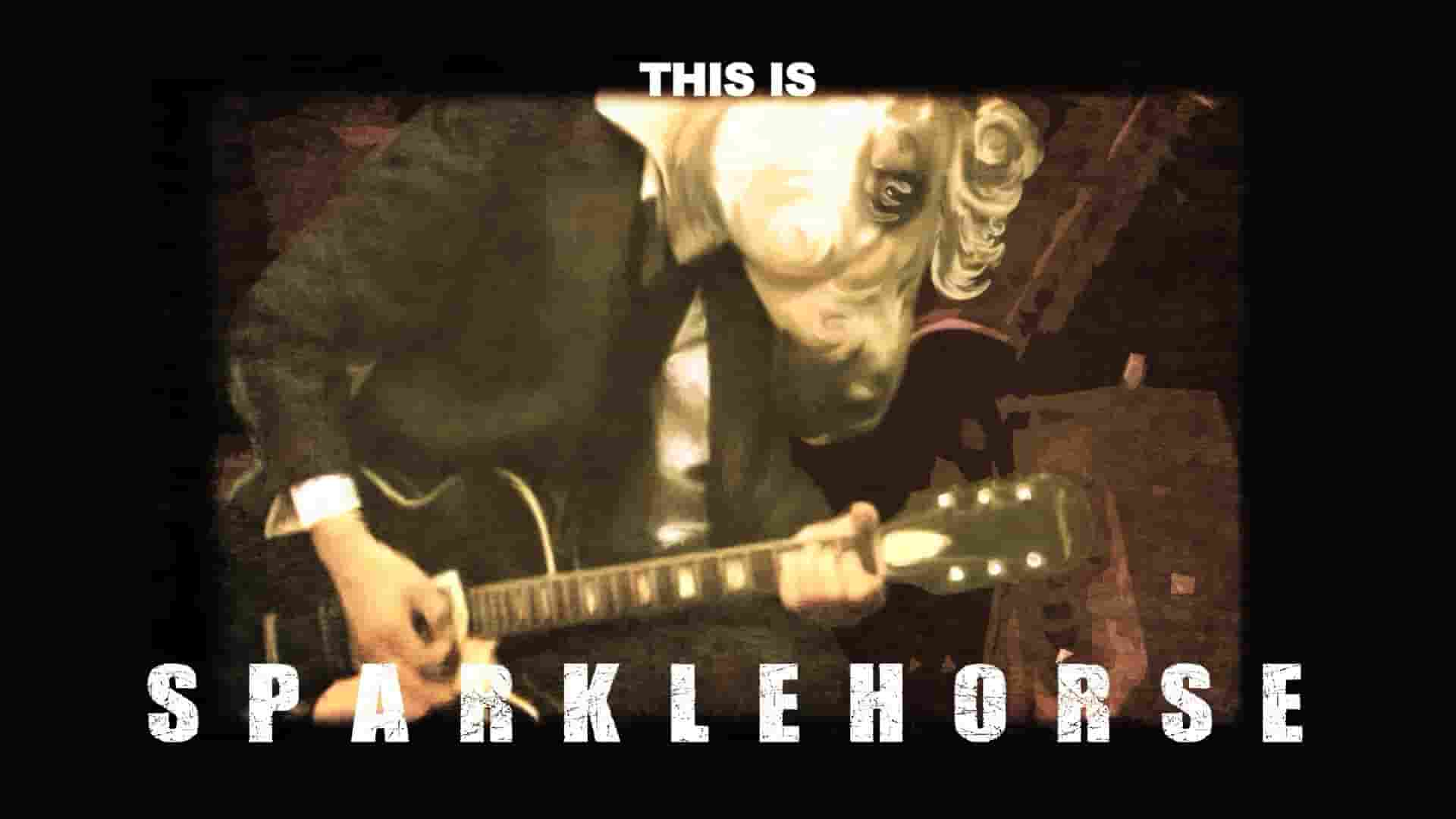 美国纪录片《闪闪发光的黑马 This Is Sparklehorse 2022》全1集 英语中英双字 1080P高清网盘