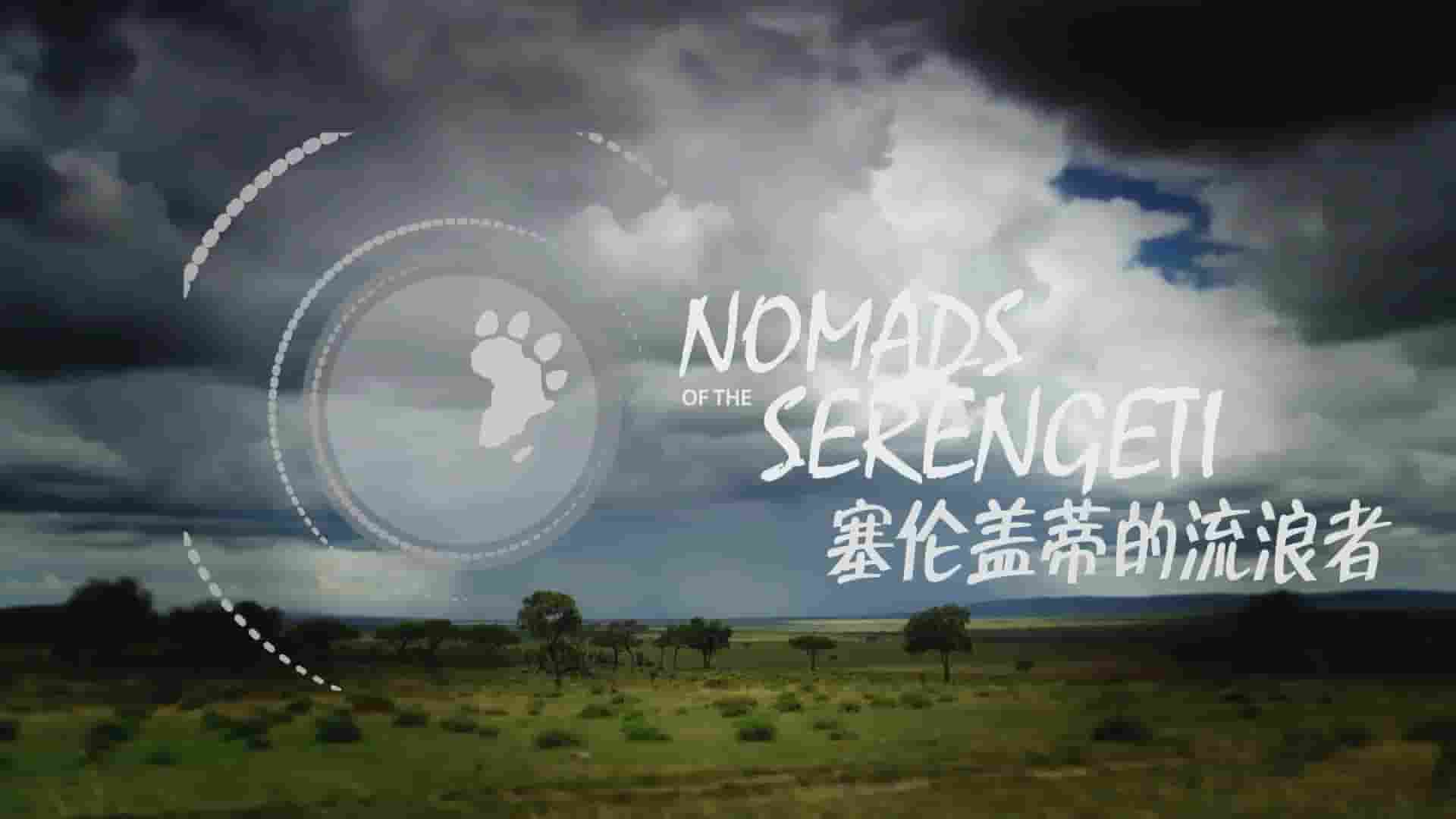 国家地理《塞伦盖蒂游牧者/塞伦盖蒂流浪者 Nomads of the Serengeti 2015》全5集 英语内嵌中英双字 1080P高清网盘