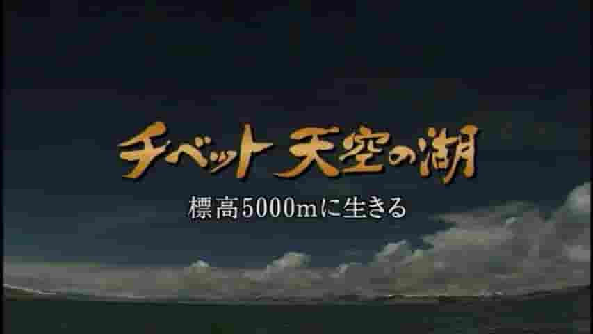 NHK纪录片《天上的圣湖——普莫雍错 2004》全1集 日语中字 标清网盘