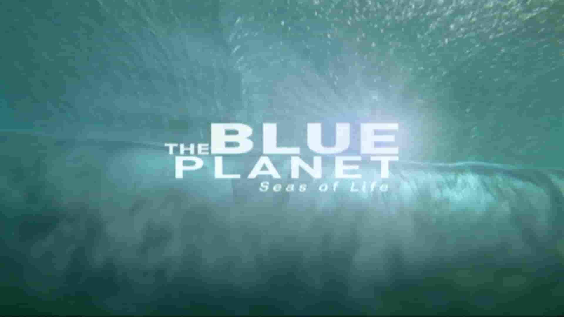 BBC纪录片《蓝色星球/蓝地球 The Blue Planet 2001》第1季全10集 英语中字 1080P高清网盘