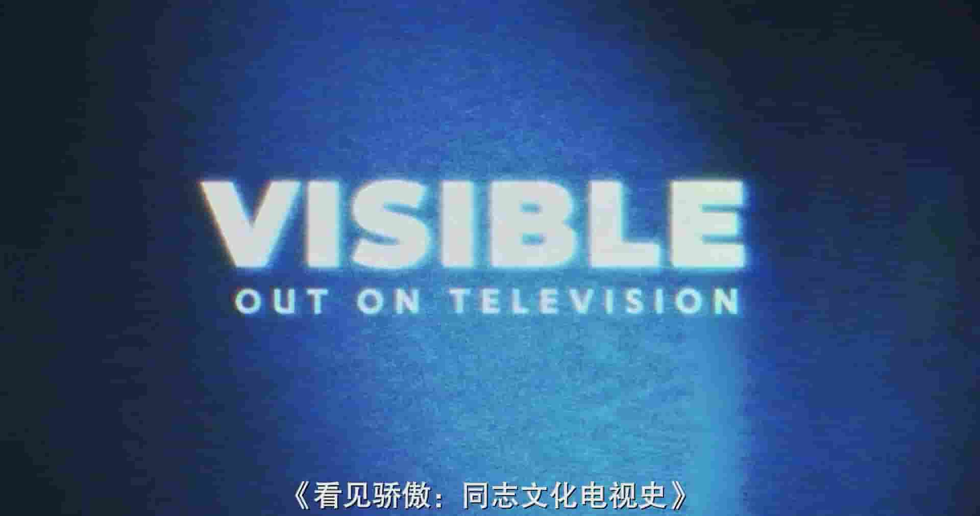 美国纪录片《从暗到明：电视与彩虹史 Visible: Out on Television 2020》全5集 英语中字 1080P高清网盘