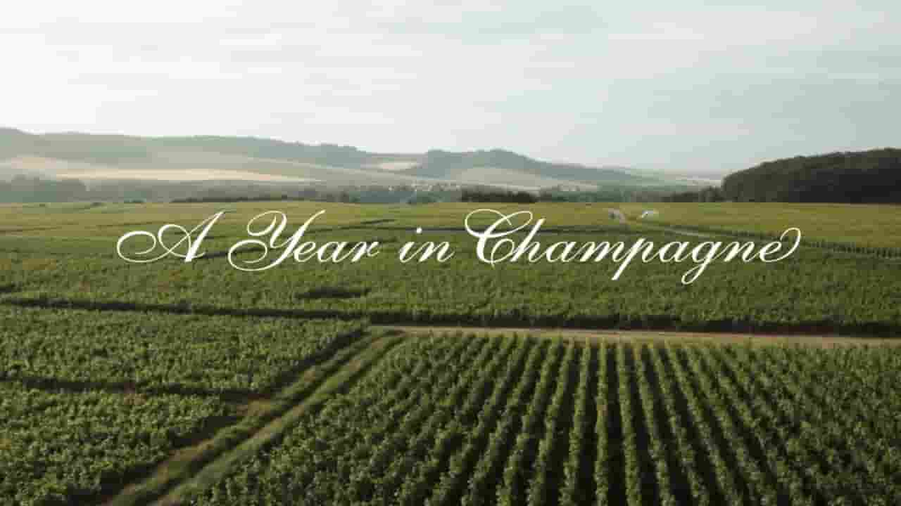 NetFlix纪录片《一年中的香槟时刻/香槟的一年 A Year in Champagne 2014》全1集 英语内嵌中字 720P高清网盘